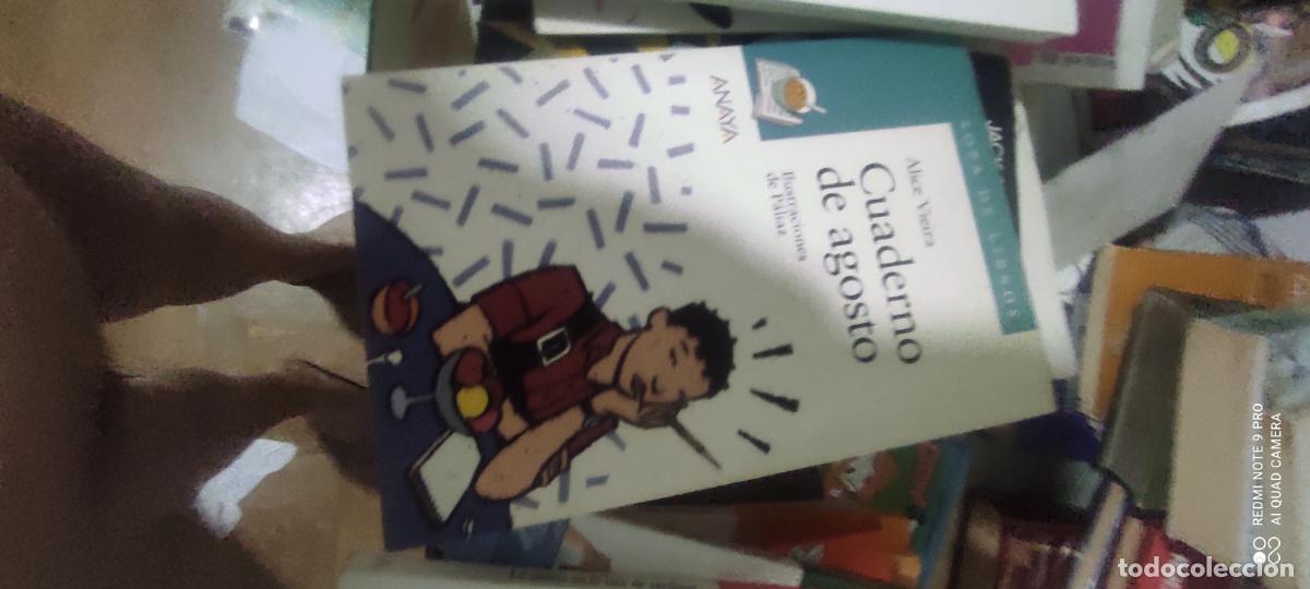 Libros de segunda mano: Cuaderno de agosto Alice Vieira