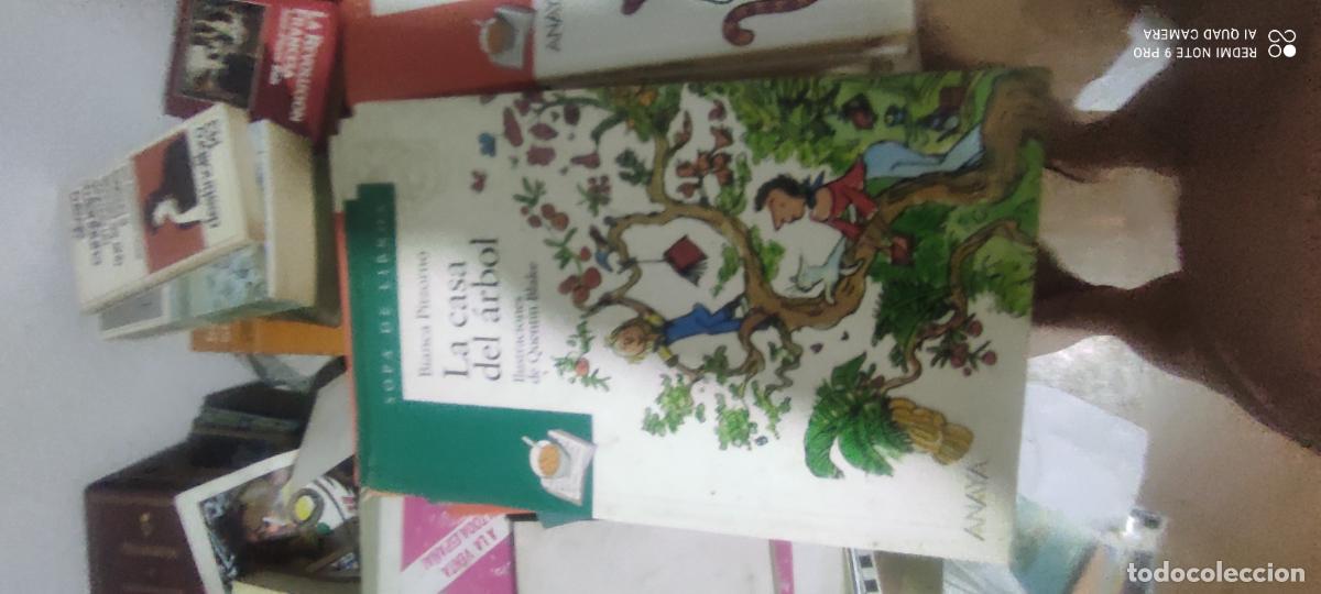 Libros de segunda mano: LA CASA DEL &Aacute;RBOL. BIANCA PITZORNO. ANAYA.