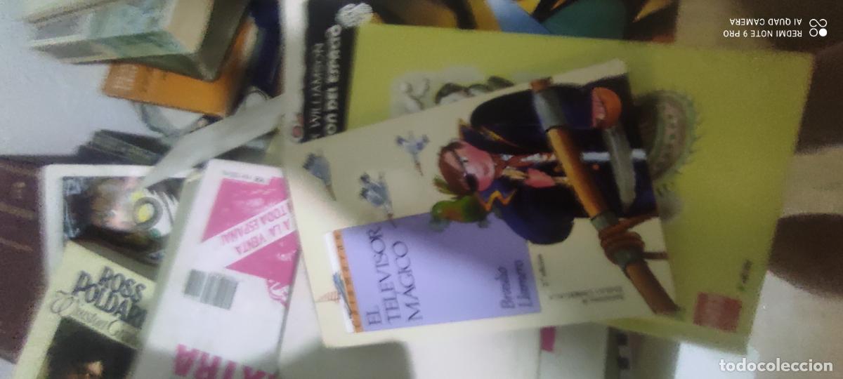 Libros de segunda mano: el televisor magico, braulio llamero