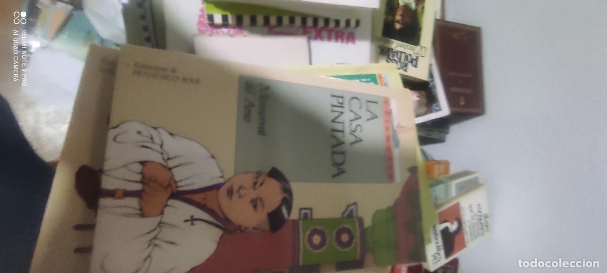 Libros de segunda mano: La casa pintada: Amo, Montserrat del.