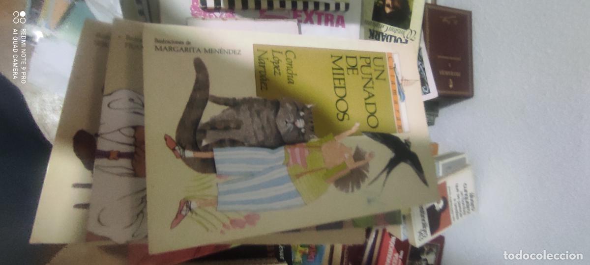 Libros de segunda mano: UN PU&Ntilde;ADO DE MIEDOS - L&oacute;pez Narv&aacute;ez,Concha