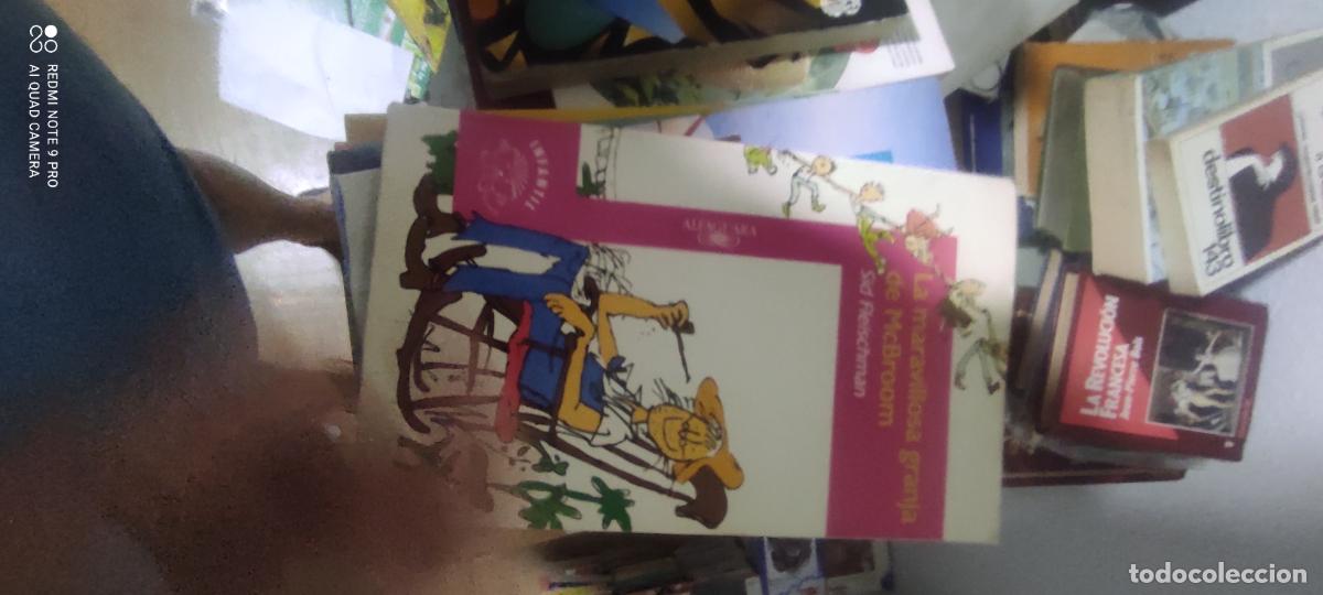 Libros de segunda mano: Sid Fleischman - La maravillosa granja de McBroom Ed. Alfaguara Col. infantil s/n&ordm; 2 l