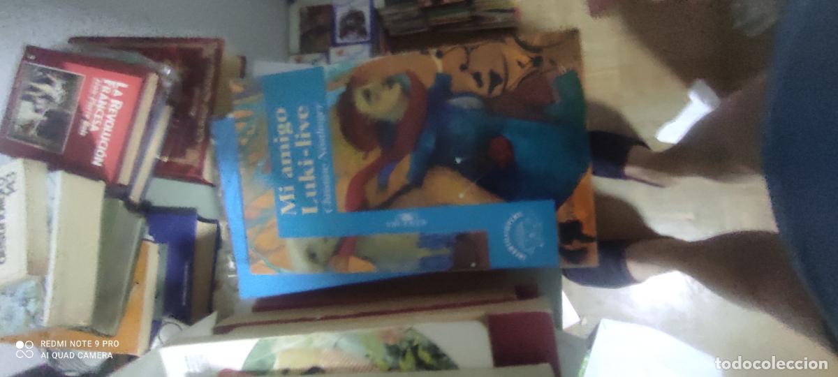 Libros de segunda mano: Mi amigo Luki-live (Christine N&ouml;stlinger)