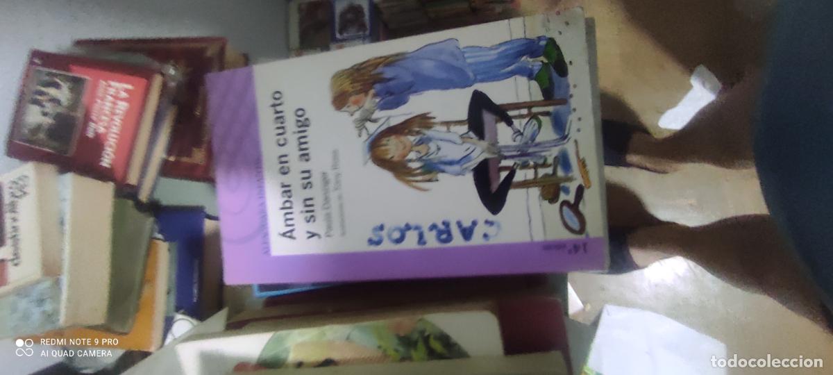 Libros de segunda mano: &Aacute;MBAR EN CUARTO Y SIN SU AMIGO PAULA DANZIGER