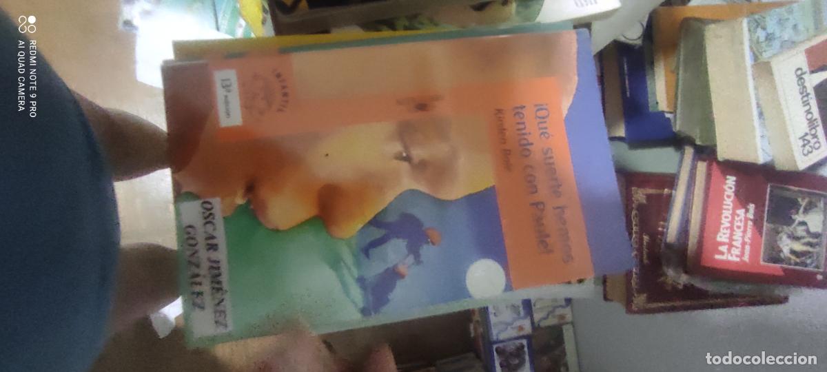 Gebrauchte B&uuml;cher: &iexcl;Qu&eacute; Suerte Hemos Tenido con Paule! - Kirsten Boie - Alfaguara, 1995