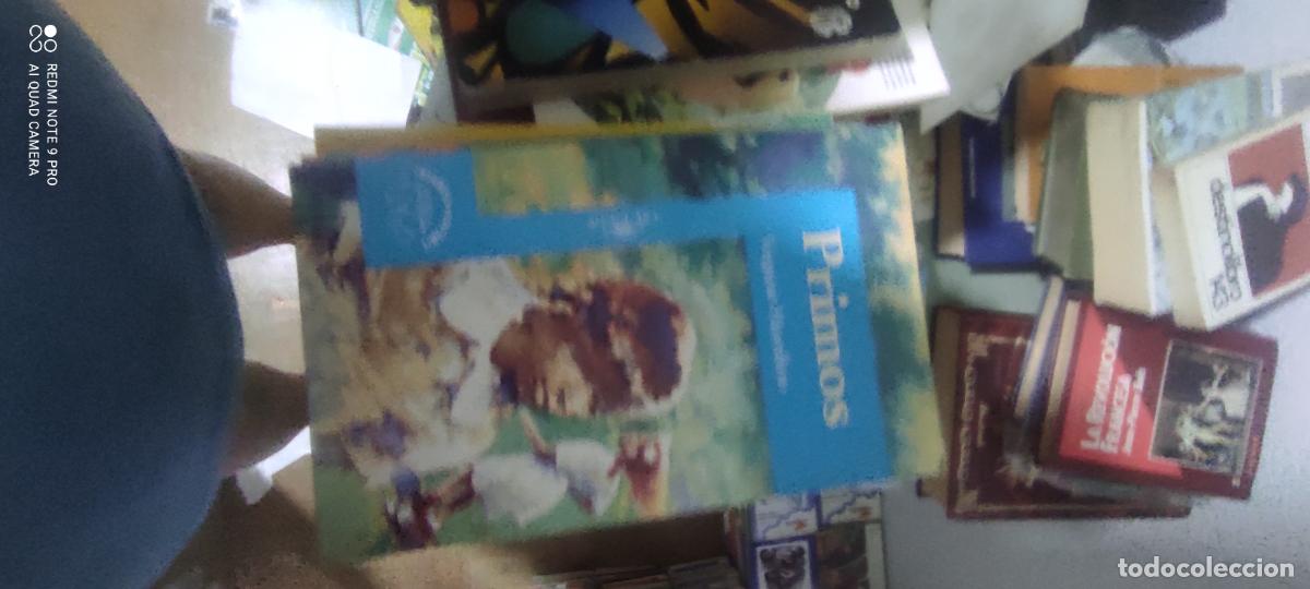 Gebrauchte B&uuml;cher: PRIMOS VIRGINIA HAMILTON ALFAGUARA LIBRO E-SAN