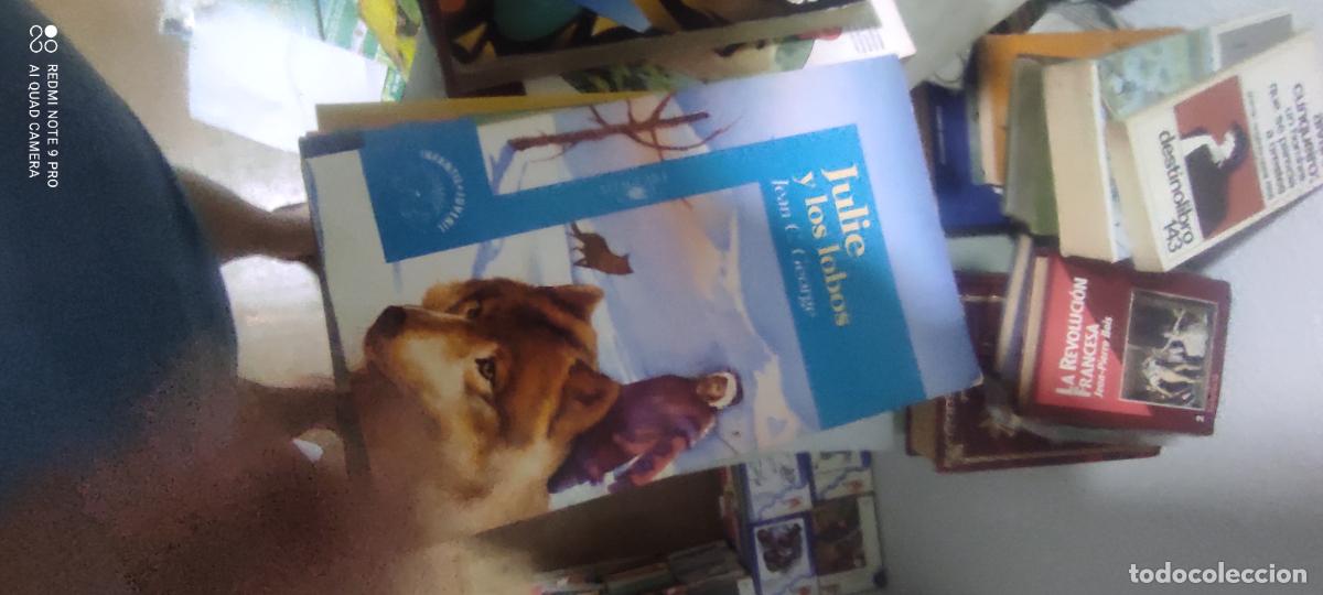 Gebrauchte B&uuml;cher: Julie y los lobos: George, Jean Craighead.-
