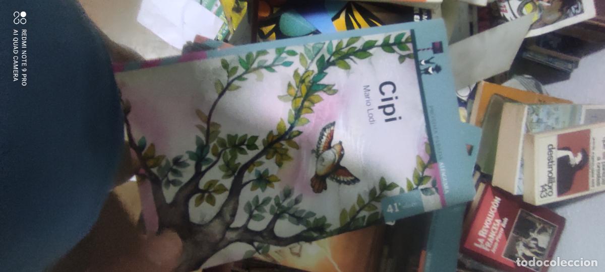 Libros de segunda mano: Mario Lodi, Cipi, Ediciones Alfaguara.