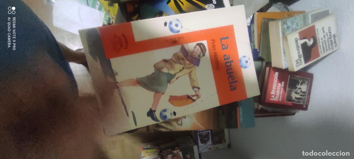 Libros de segunda mano: Juvenil Alfaguara N&ordm; 17, La Abuela - Peter H&auml;rtling - Ed. Alfaguara, 1978