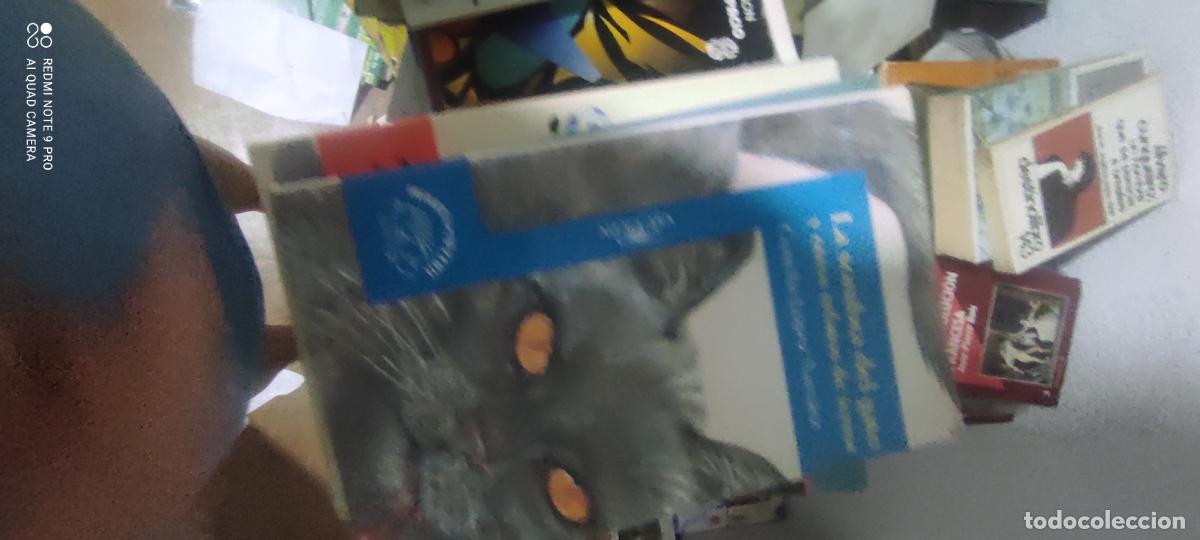 Gebrauchte B&uuml;cher: LA SOMBRA DEL GATO Y OTROS RELATOS DE TERROR - CONCHA RELATOS DE TERROR - 1994