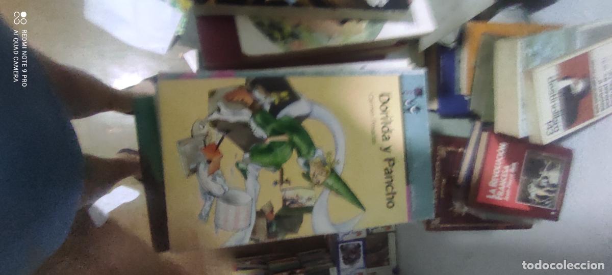 Libros de segunda mano: DORILDA Y PANCHO, CARMEN POSADAS, ALFAGUARA