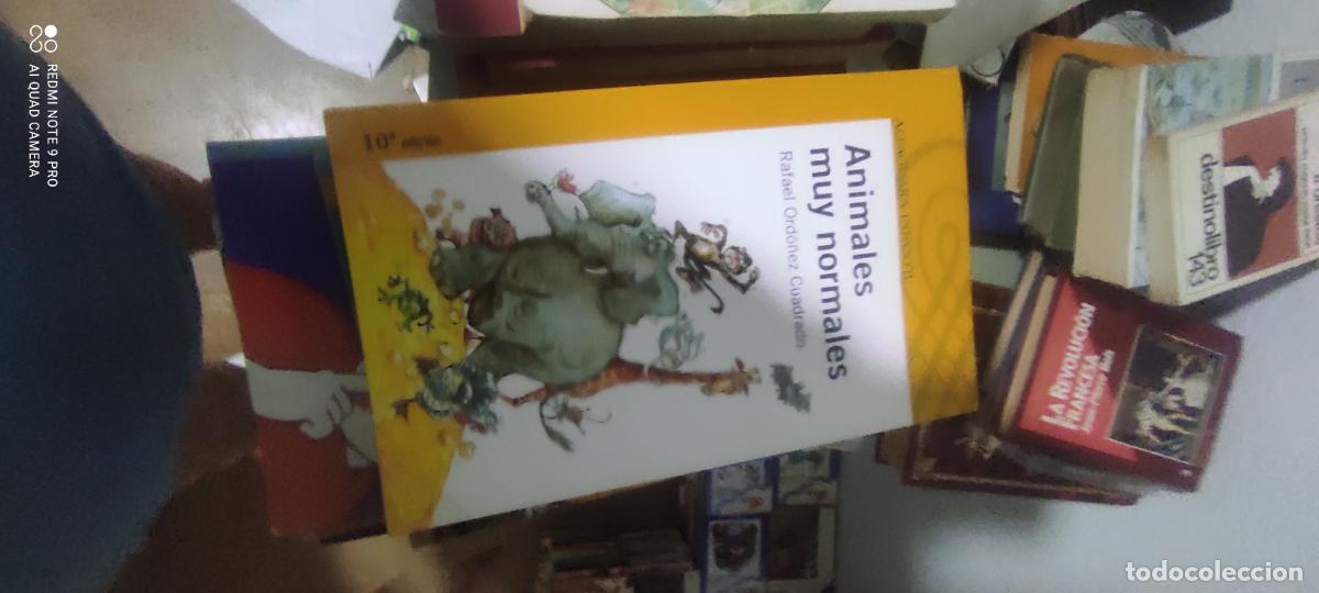 Libros de segunda mano: ANIMALES MUY NORMALES - ORDO&Ntilde;EZ CUADRADO, RAFAEL