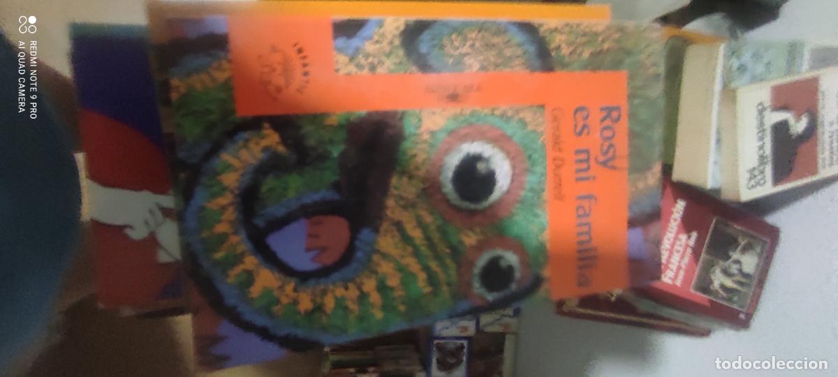Libros de segunda mano: ROSY ES MI FAMILIA.(10).ALFAGUAR - DURRELL,GERALD l