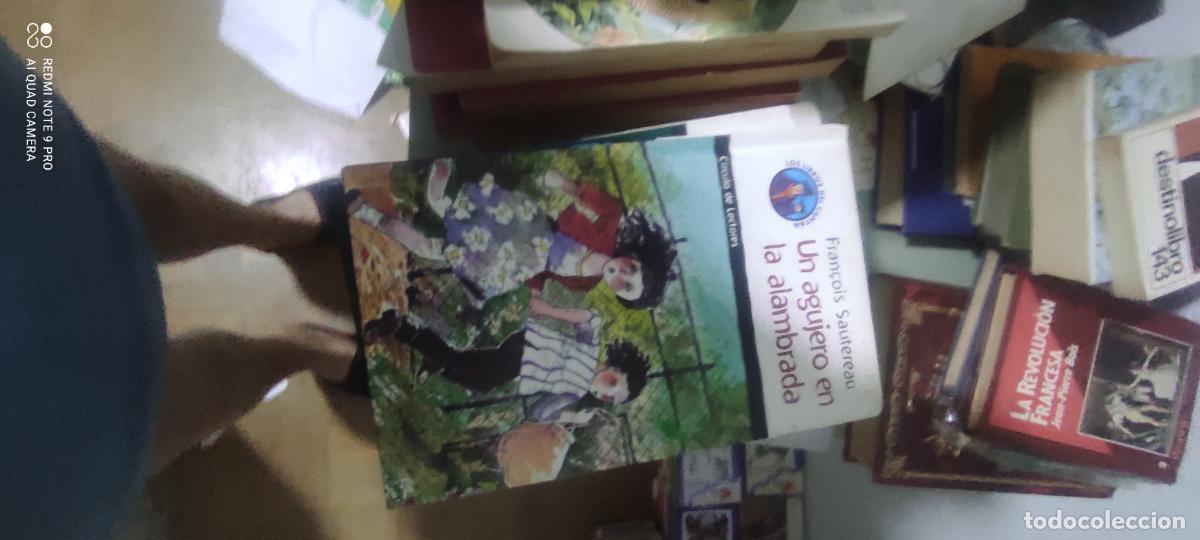 Libros de segunda mano: UN AGUJERO EN LA ALAMBRADA. FRAN&Ccedil;OIS SAUTEREAU, ILUSTRA MARIO RABASSI