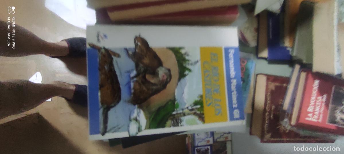 Libros de segunda mano: Fernando Mart&iacute;nez Gil, El r&iacute;o de los castores, Noguer