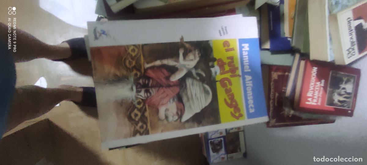 Libros de segunda mano: El rub&iacute; del Ganges./ Manuel Alfonseca. Noguer