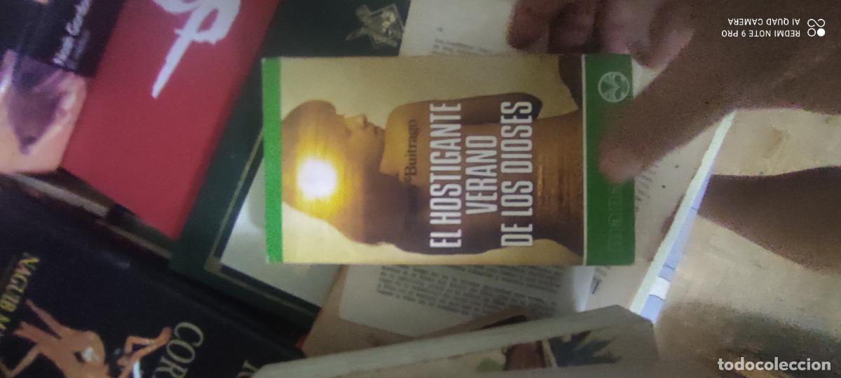 Libros de segunda mano: El hostigante verano de los dioses