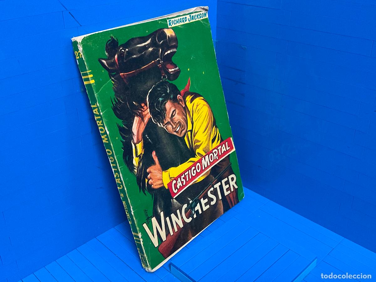 Livros em segunda m&atilde;o: CASTIGO MORTAL &ndash; ED. ROLLAN &ndash; RICHARD JACKSON