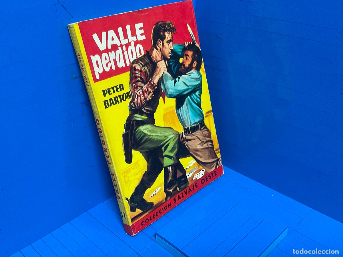 Livros em segunda m&atilde;o: VALLE PERDIDO &ndash; PETER BARTON