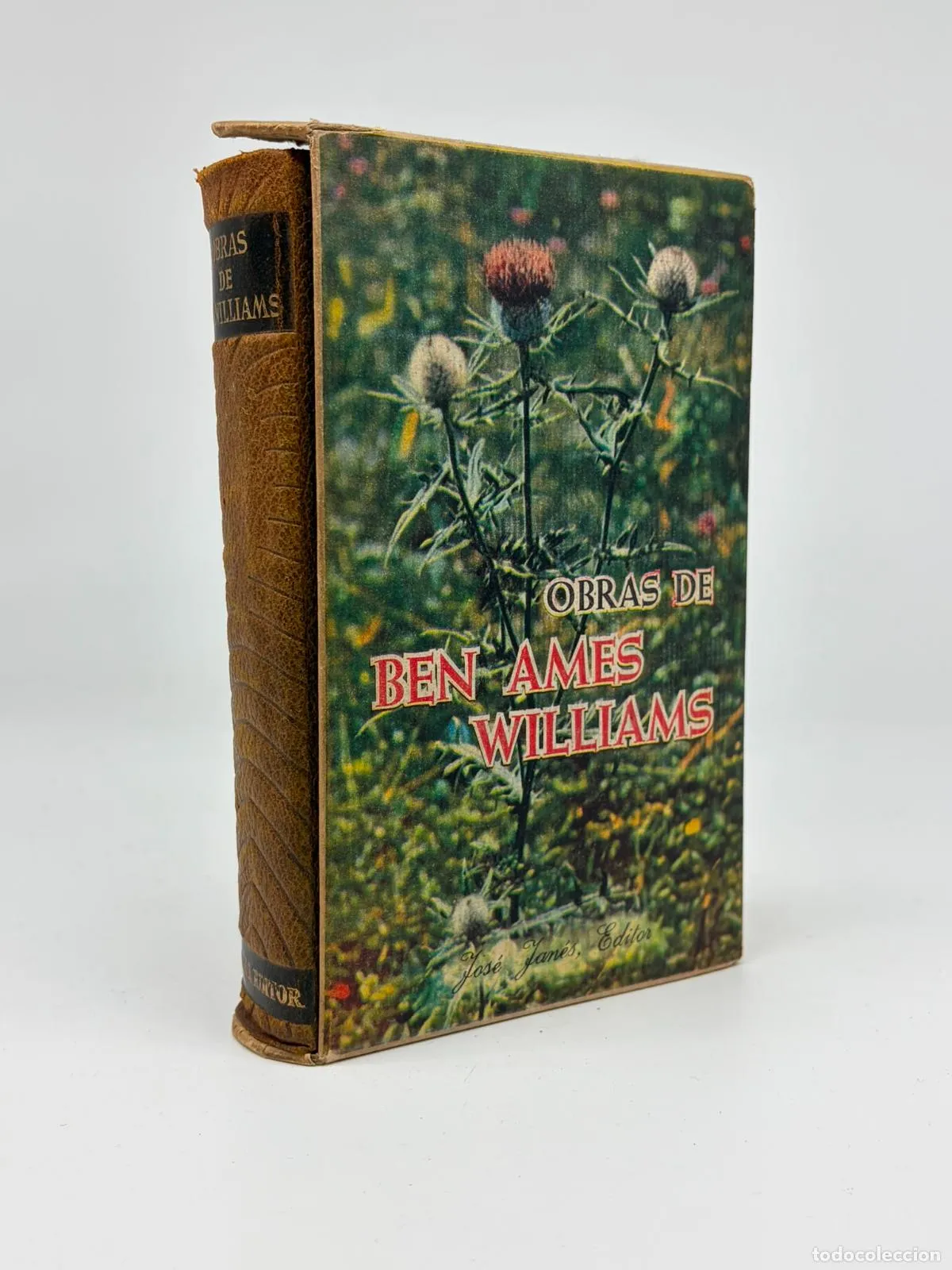 OBRAS DE BEN AMES WILLIAMS - JOSÉ JANÉS EDITOR -