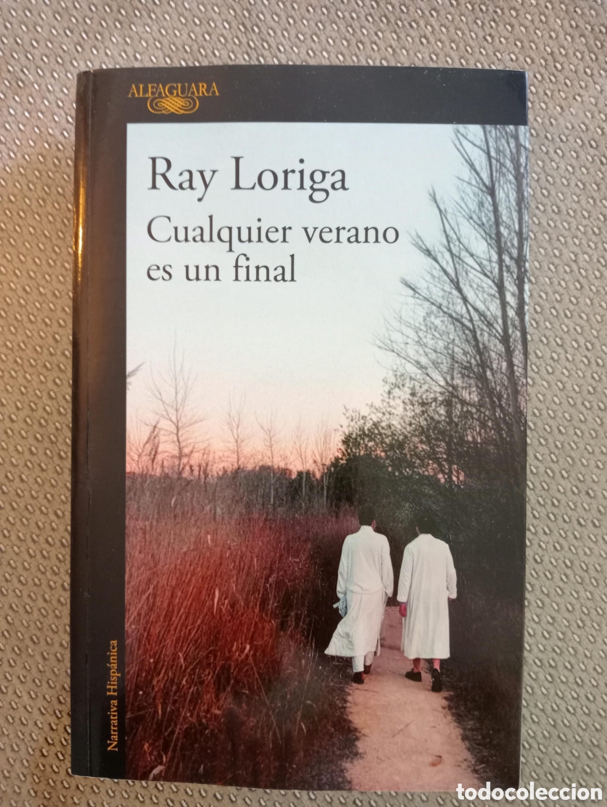 Libros de segunda mano: Cualquier verano es un final / Ray Loriga