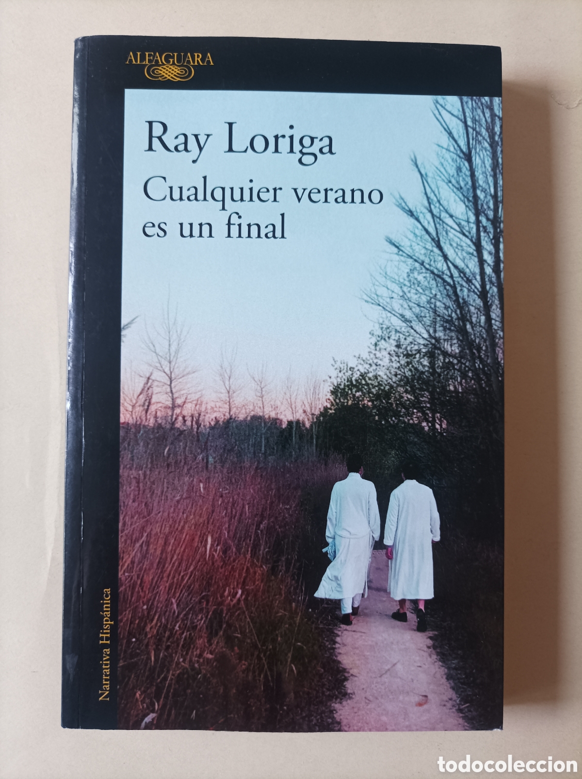 Second hand books: Cualquier verano es un final / Ray Loriga