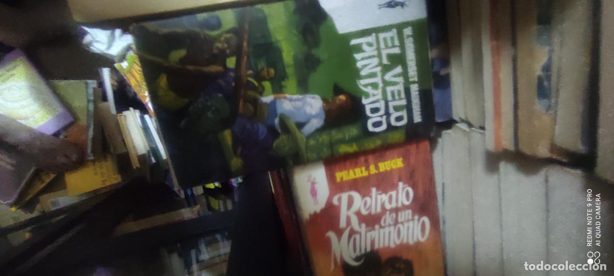 Libros de segunda mano: Somerset. El velo pintado