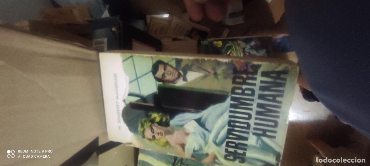 Libros de segunda mano: Somerset. Servidumbre humana