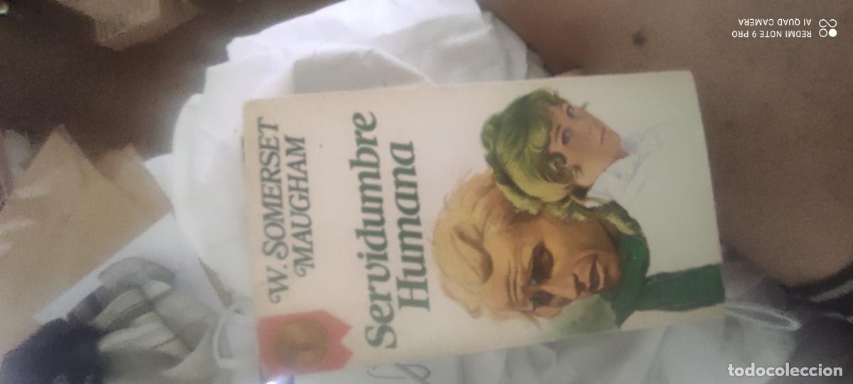 Libros de segunda mano: Somerset. Servidumbre humana