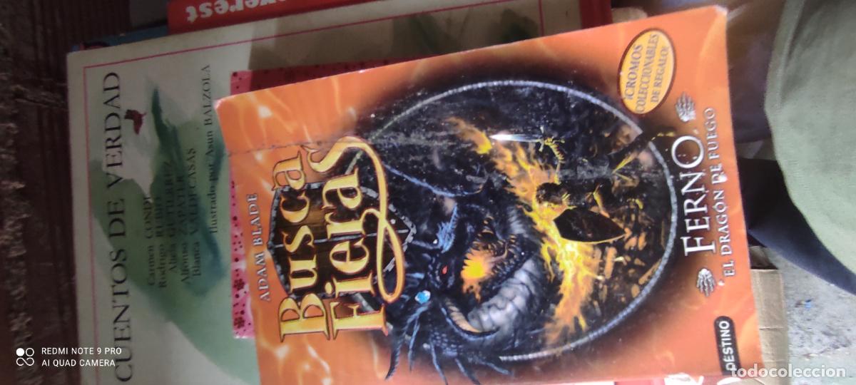 Libros de segunda mano: BUSCA FIERAS. FERNO. EL DRAG&Oacute;N DE FUEGO. ADAM BLADE