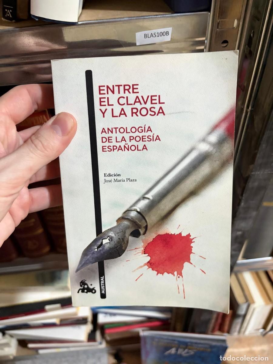 Libros de segunda mano: BLAS100B &mdash; Jos&eacute; Mar&iacute;a Plaza (ed.) &mdash; Entre el clavel y la rosa: Antolog&iacute;a de la poes&iacute;a espa&ntilde;ola &mdash; Aus