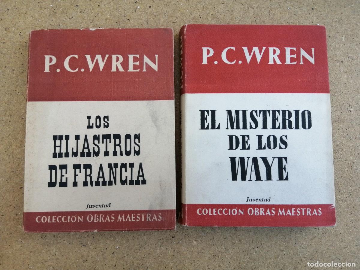 Libros de segunda mano: LOS HIJASTROS DE FRANCIA - EL MISTERIO DE LOS WAYE (P.C. WREN)