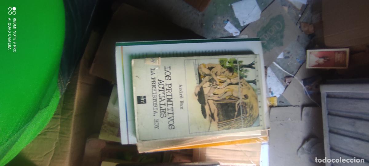 Libros de segunda mano: ANDR&Eacute; FAX - LOS PRIMITIVOS ACTUALES. LA PREHISTORIA, HOY - EDICIONES SM, 1986
