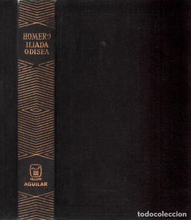 Libros de segunda mano: LA ILIADA - LA ODISEA. HOMERO. A-AGUI-1281