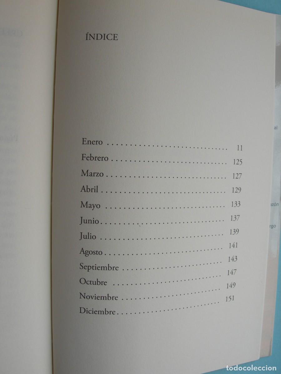 Libros de segunda mano: BLITZ / DAVID TRUEBA / NARRATIVA - Foto 3