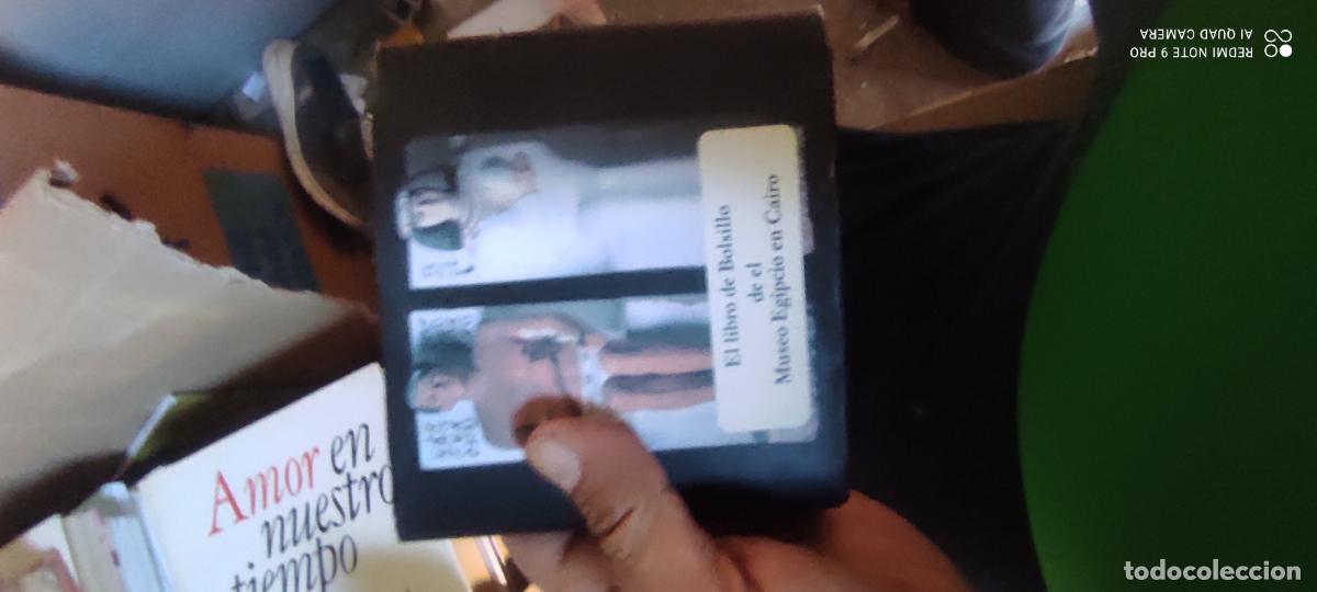 Libros de segunda mano: El libro de bolsillo del Museo Egipcio del Cairo