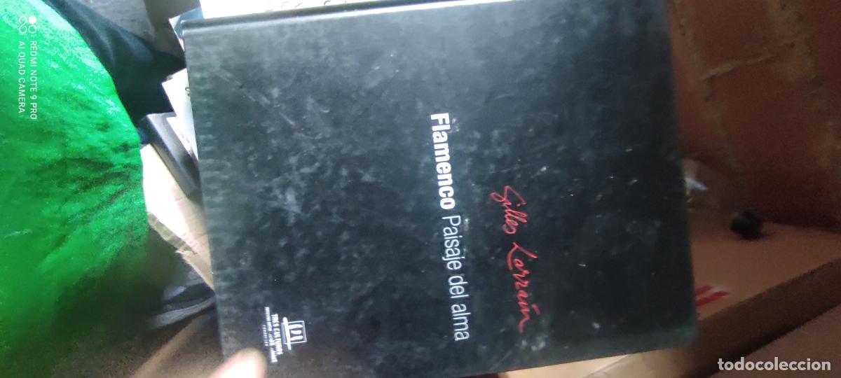 Libros de segunda mano: Flamenco. Paisaje del alma