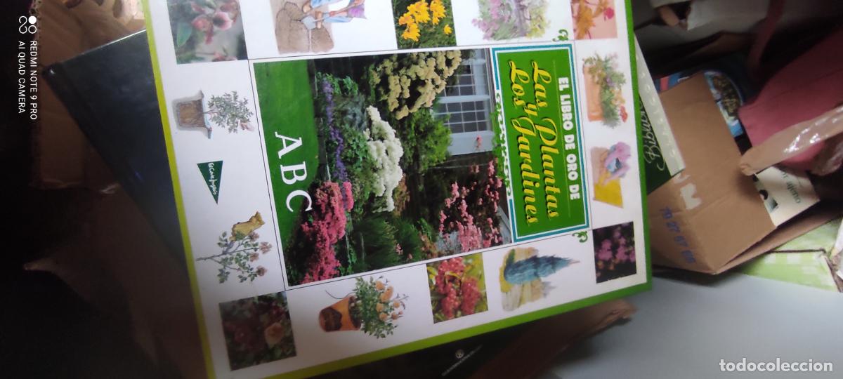 Libros de segunda mano: EL LIBRO DE ORO DE LAS PLANTAS Y LOS JARDINES (ABC) MANUAL LIBRO