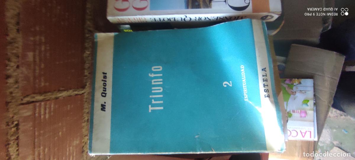 Libros de segunda mano: Triunfo Michel Quelst