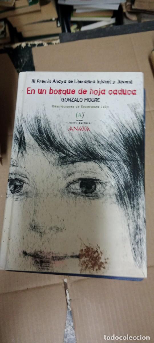 Libros de segunda mano: EN UN BOSQUE DE HOJA CADUCA / GONZALO MOURE LIBRO GG-CD
