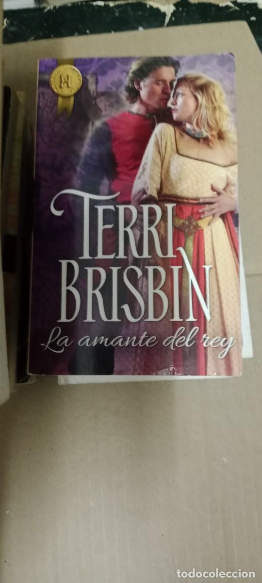Libros de segunda mano: LA AMANTE DEL REY TERRI BRISBIN LIBRO GG-QQ77