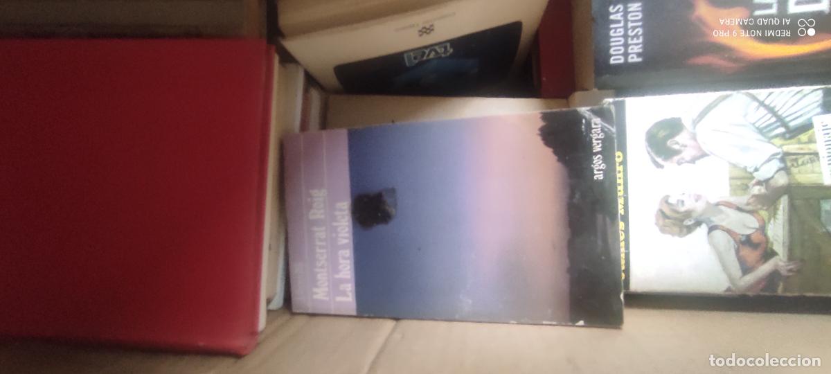 Libros de segunda mano: La hora Violeta (Montserrat Roig)