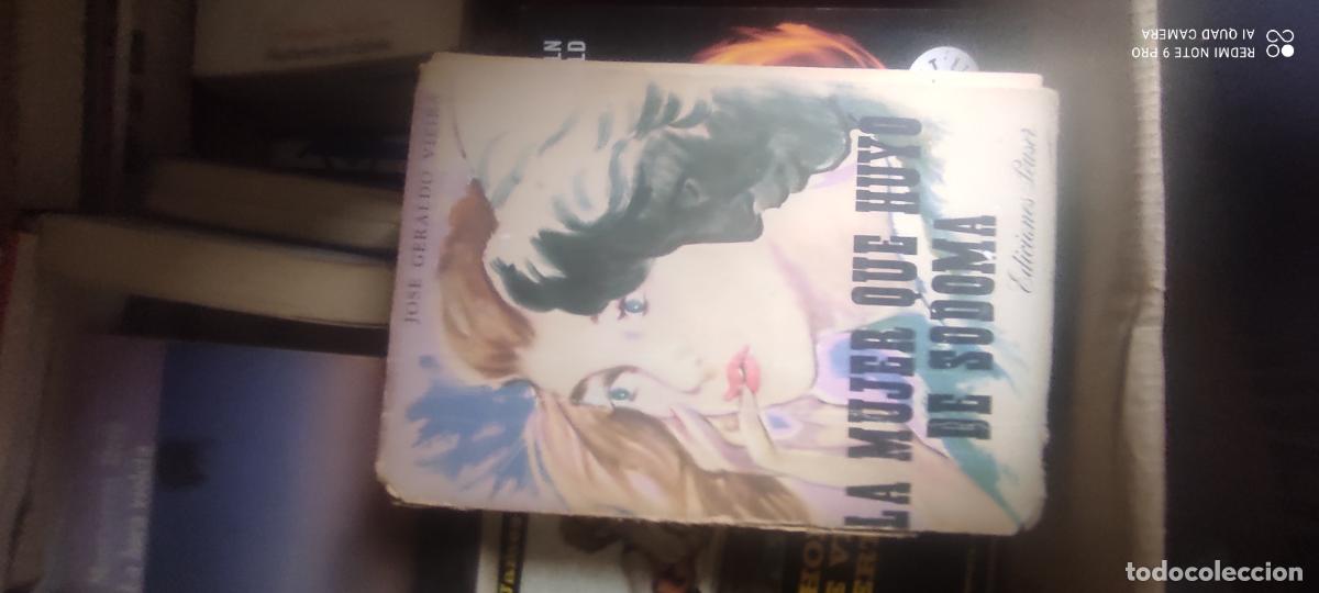Libros de segunda mano: GERALDO VIEIRA, Jos&eacute;.- - La mujer que huy&oacute; de sodoma. Novela.