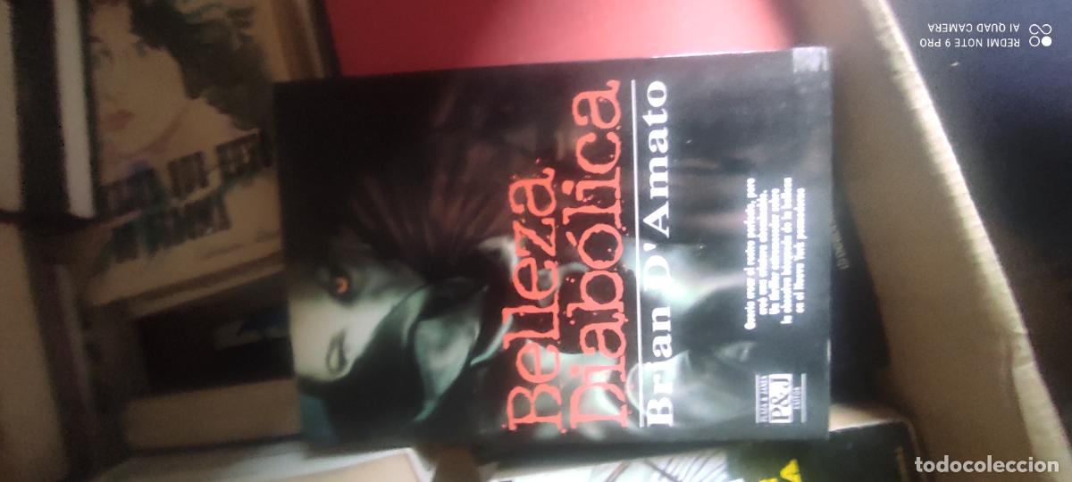 Libros de segunda mano: Belleza diab&oacute;lica. Brian D'Amato