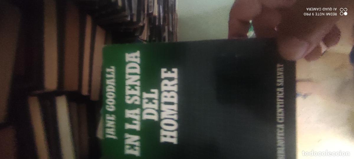 Libros de segunda mano: EN LA SENDA DEL HOMBRE, LIBRO DE JANE GOODALL,SALVAT EDITORES 1986