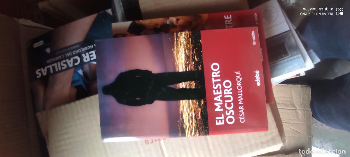 Libros de segunda mano: EL MAESTRO OSCURO - Mallorqu&iacute;,C&eacute;sar