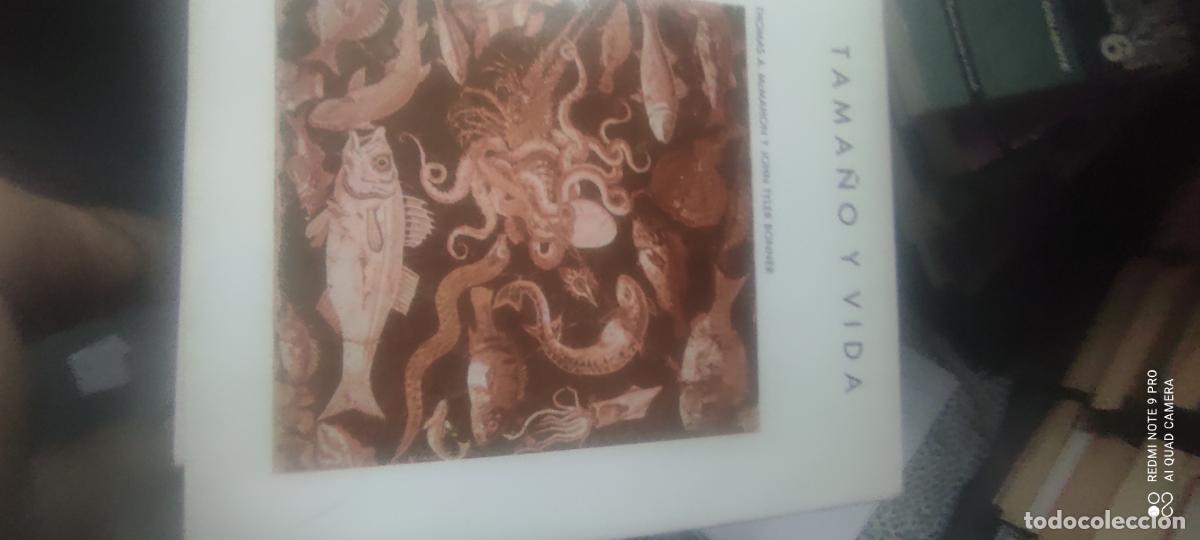 Libros de segunda mano: Tama&ntilde;o y vida. Thomas A. McMahon. Biblioteca Scientific American
