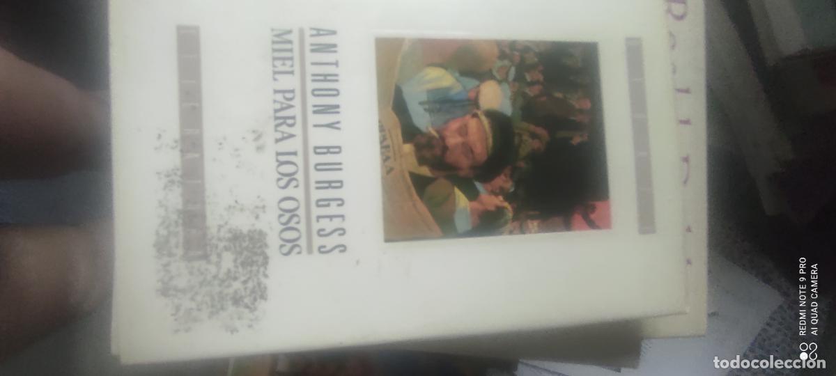 Libros de segunda mano: Anthony Burgess - Miel para los osos