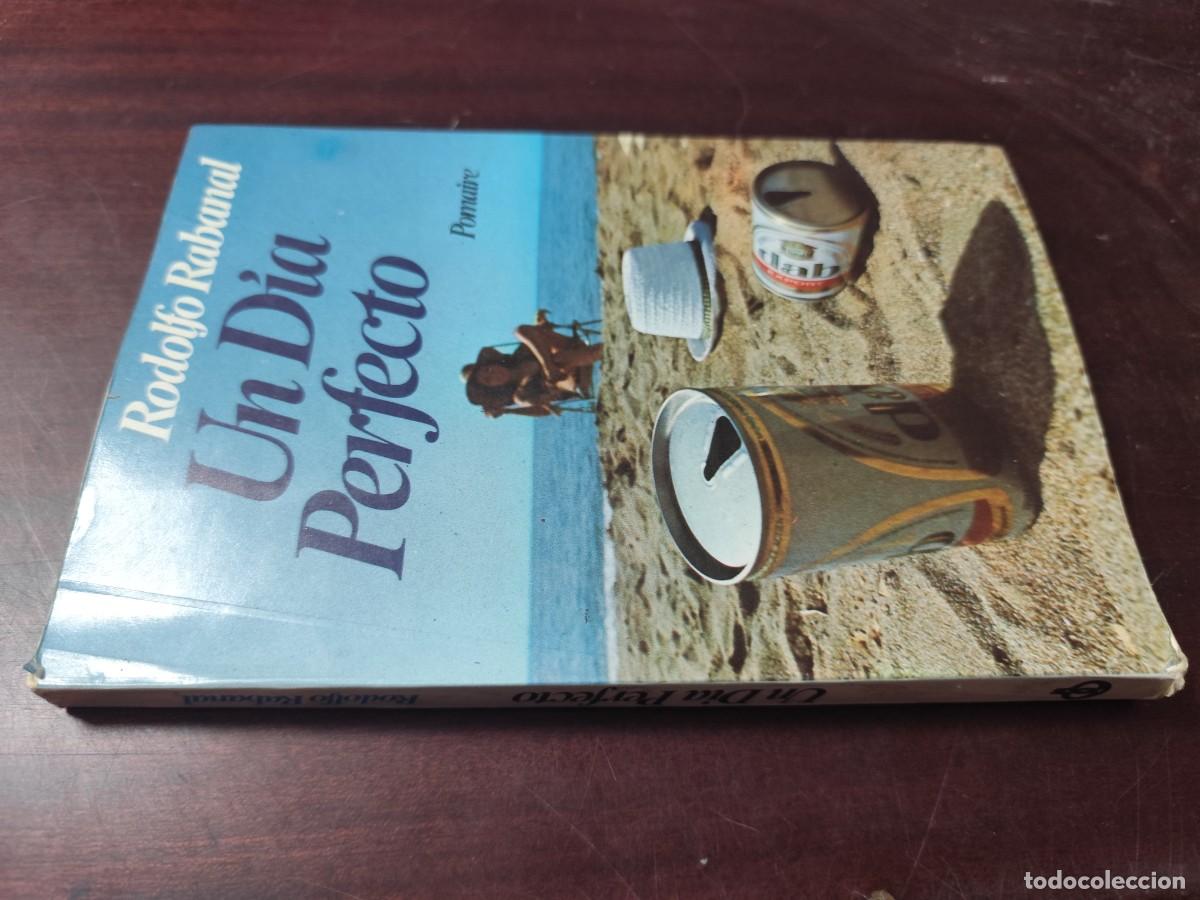 Libros de segunda mano: UN DIA PERFECTO / RODOLFO RABANAL / CJA 442 / POMAIRE