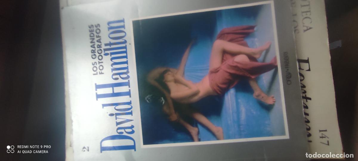 Libros de segunda mano: Los Grandes Fot&oacute;grafos n&ordm; 2, David Hamilton, Orbis-Fabri, 1990 libro